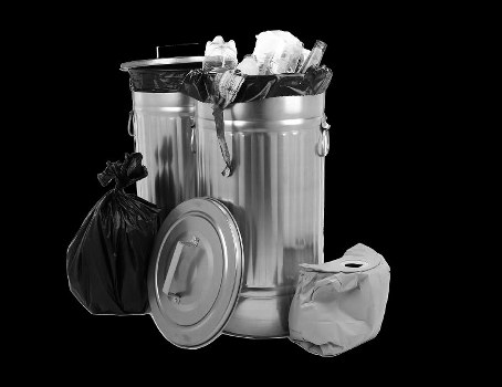 Waste removal service collecting construction debris