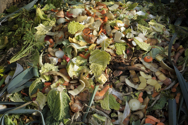 Clutter Removal and Hoarder Clean Up Solutions for Every Situation